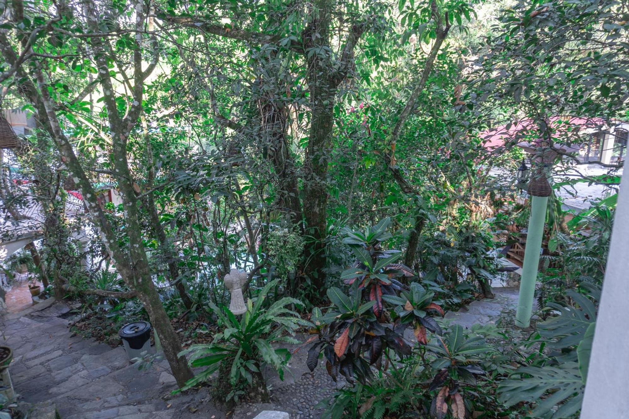 Hotel Paraiso Encantado Xilitla Eksteriør billede